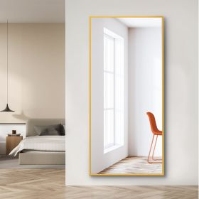 Dolonm 65x22 Inch Full Length Mirror, Modern Design Standing Floor Mirror, Full Body Mirror for Living Room, Bedroom, Bathroom, Cloakroom, Hallway