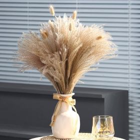 Phragmites Dried Flowers Bouquet Long Bouquet Reed Dried Natural Dried Pampa Grass Bouquet Home Wedding Living Room Decoration (Ships From: China, Color: 60pcs  No vase)