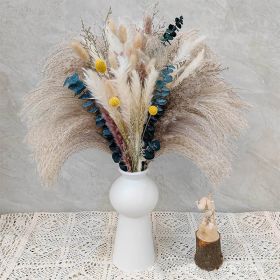 Phragmites Dried Flowers Bouquet Long Bouquet Reed Dried Natural Dried Pampa Grass Bouquet Home Wedding Living Room Decoration (Ships From: China, Color: 76pcs  No vase)