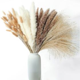 Phragmites Dried Flowers Bouquet Long Bouquet Reed Dried Natural Dried Pampa Grass Bouquet Home Wedding Living Room Decoration (Ships From: China, Color: 100pcs  No vase)