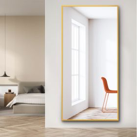 Dolonm 71x32 Inch Full Length Mirror, Modern Design Standing Floor Mirror, Full Body Mirror for Living Room, Bedroom, Bathroom, Cloakroom, Hallway (Color: as Pic)